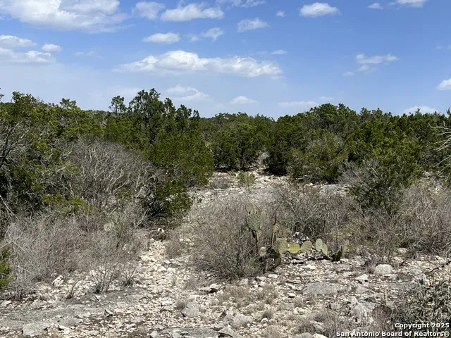 LOT 41-L & 42-L New Leona Ranch Brackettville, TX 78832