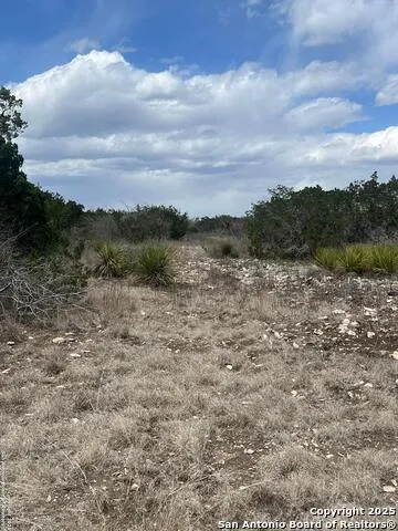 LOT 41-L & 42-L New Leona Ranch Brackettville, TX 78832