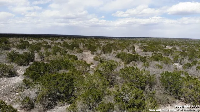 LOT 41-L & 42-L New Leona Ranch Brackettville, TX 78832