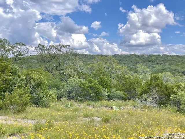 LOT 438 County Rd 2763 Mico, TX 78056