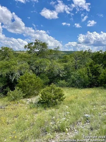 LOT 438 County Rd 2763 Mico, TX 78056