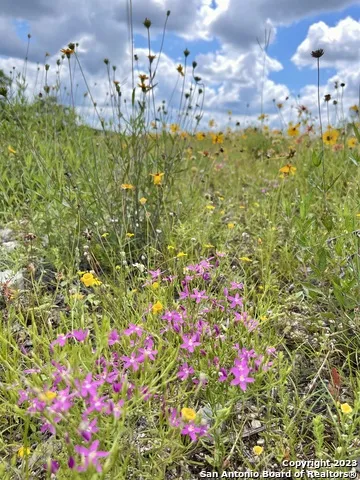 LOT 438 County Rd 2763 Mico, TX 78056