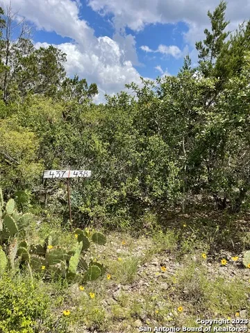 LOT 438 County Rd 2763 Mico, TX 78056