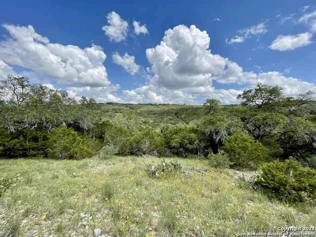 LOT 438 County Rd 2763 Mico, TX 78056