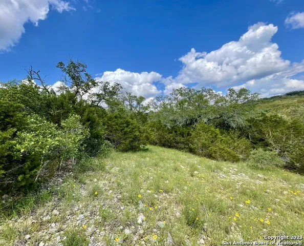 LOT 438 County Rd 2763 Mico, TX 78056