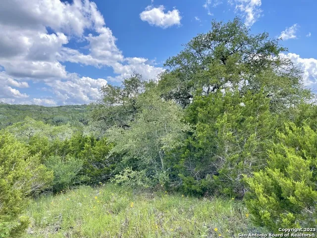 LOT 438 County Rd 2763 Mico, TX 78056