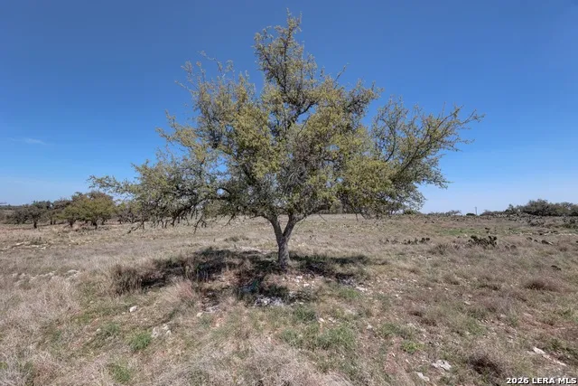 1443 Gina Harper, TX 78631
