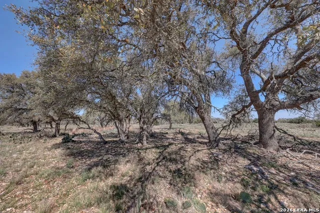 1443 Gina Harper, TX 78631
