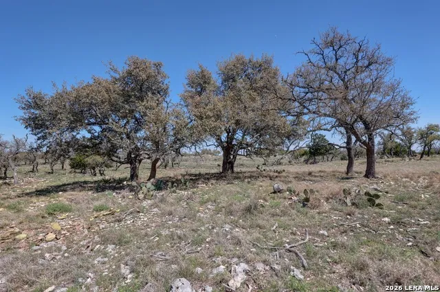 1443 Gina Harper, TX 78631
