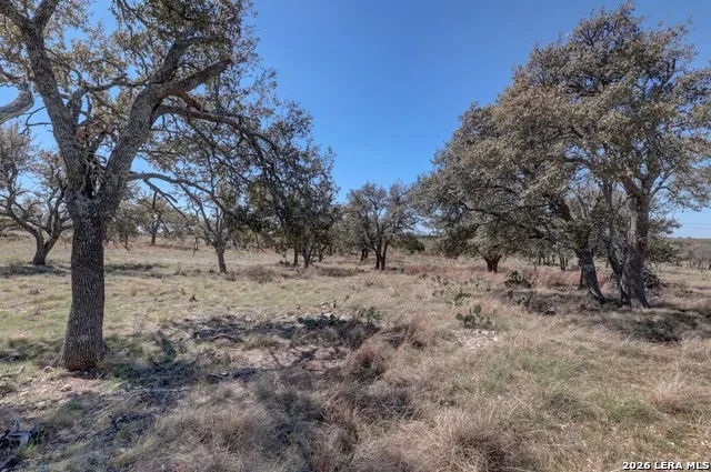 1443 Gina Harper, TX 78631