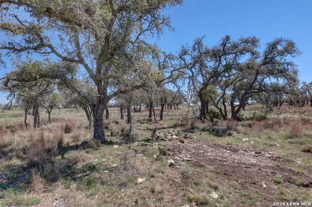 1443 Gina Harper, TX 78631