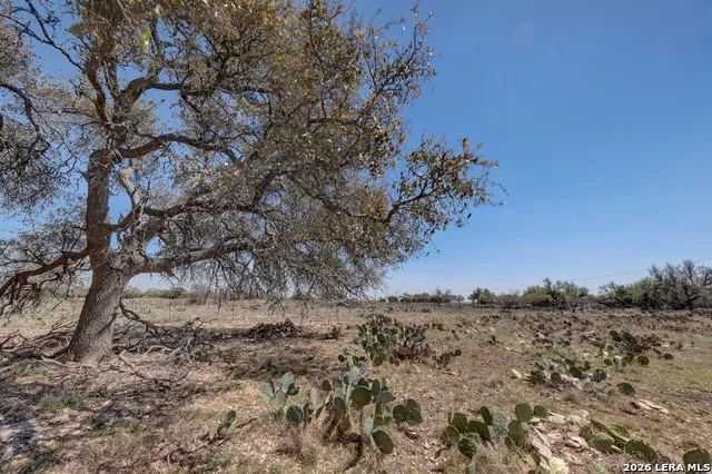 1443 Gina Harper, TX 78631