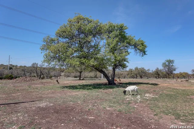 1443 Gina Harper, TX 78631