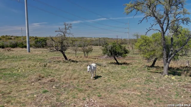 1443 Gina Harper, TX 78631