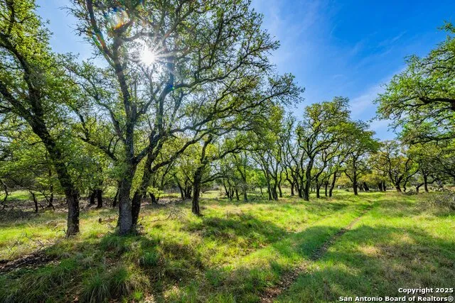563 J B Road Harper, TX 78631