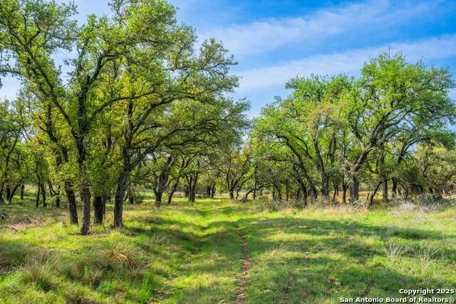 563 J B Road Harper, TX 78631