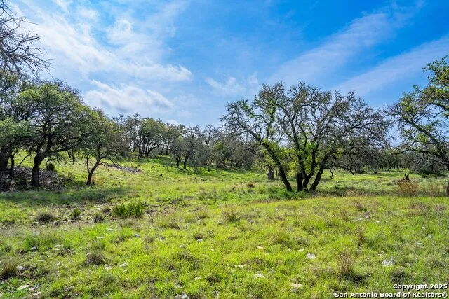 563 J B Road Harper, TX 78631