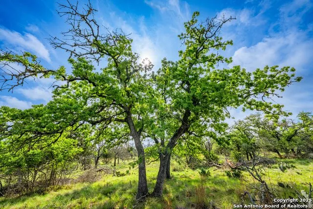 563 J B Road Harper, TX 78631