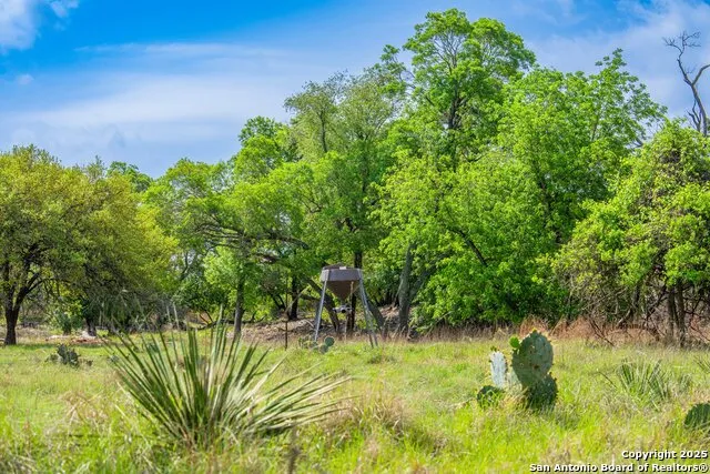 563 J B Road Harper, TX 78631