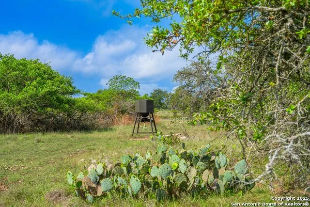 563 J B Road Harper, TX 78631