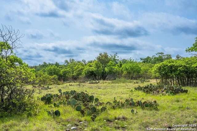 563 J B Road Harper, TX 78631