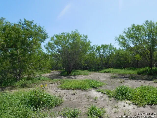 1590 McCauley Rd Floresville, TX 78114