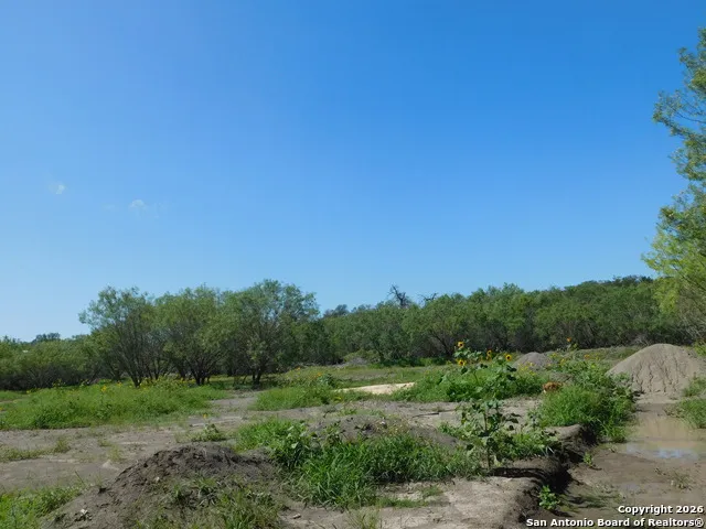 1590 McCauley Rd Floresville, TX 78114