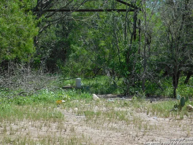 1590 McCauley Rd Floresville, TX 78114