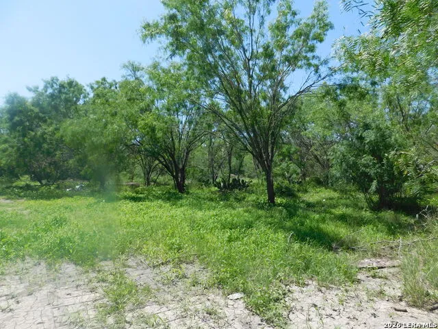 1590 McCauley Rd Floresville, TX 78114