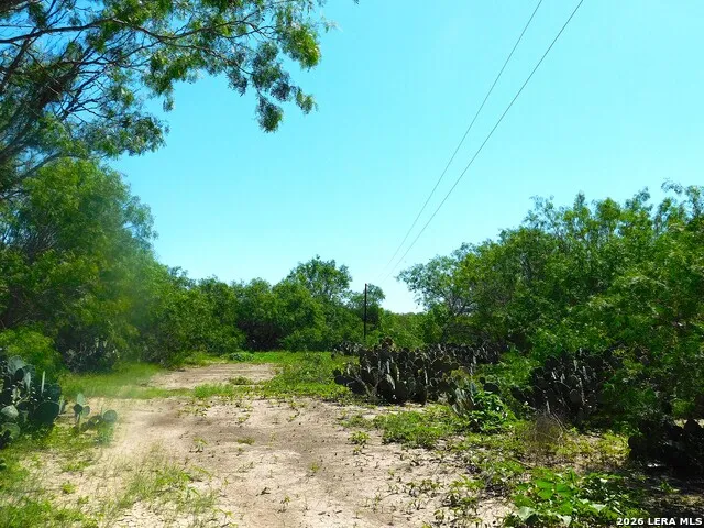 1590 McCauley Rd Floresville, TX 78114