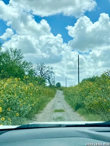 1590 McCauley Rd Floresville, TX 78114