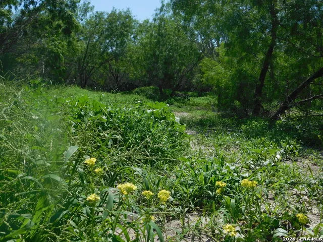 1590 McCauley Rd Floresville, TX 78114