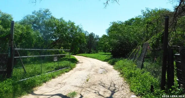 1590 McCauley Rd Floresville, TX 78114