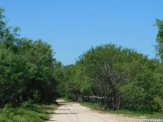 1590 McCauley Rd Floresville, TX 78114