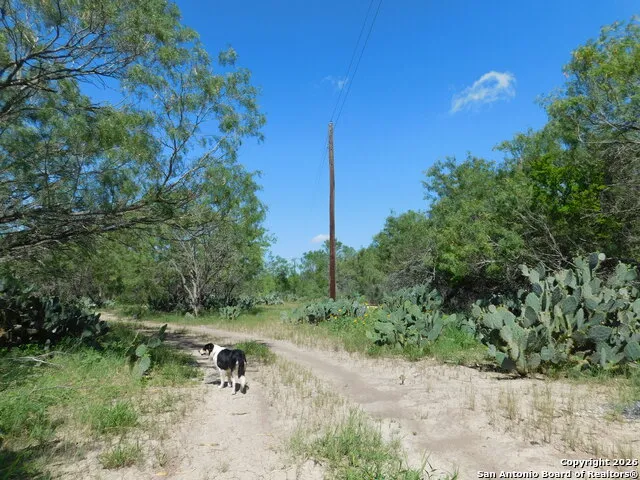 1590 McCauley Rd Floresville, TX 78114