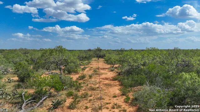 6451 Bluntzer Rd Jourdanton, TX 78026