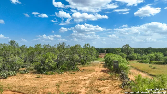 6451 Bluntzer Rd Jourdanton, TX 78026