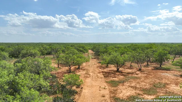 6451 Bluntzer Rd Jourdanton, TX 78026