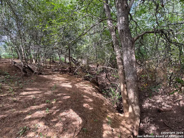 6451 Bluntzer Rd Jourdanton, TX 78026