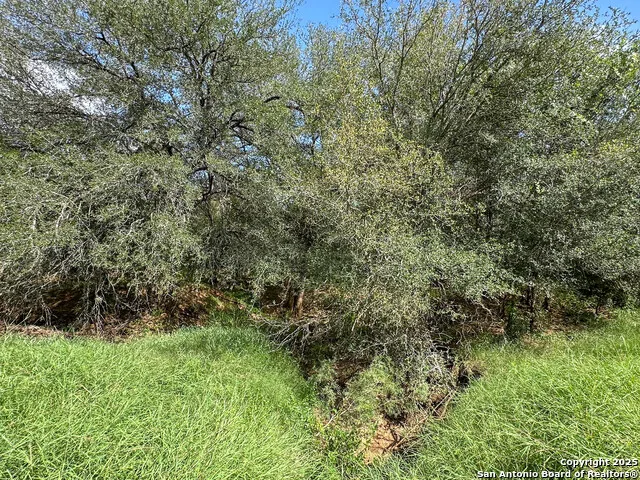 6451 Bluntzer Rd Jourdanton, TX 78026