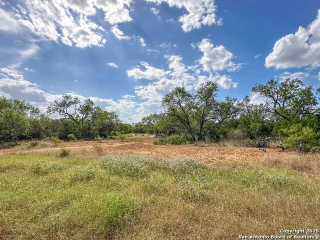 6451 Bluntzer Rd Jourdanton, TX 78026