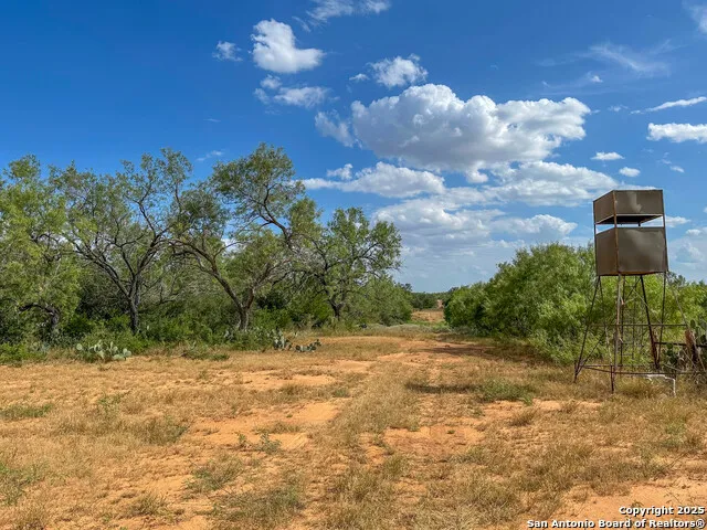 6451 Bluntzer Rd Jourdanton, TX 78026