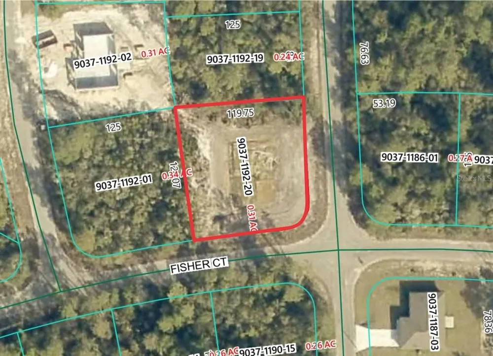 189 FISHER COURT Ocklawaha, FL 32179