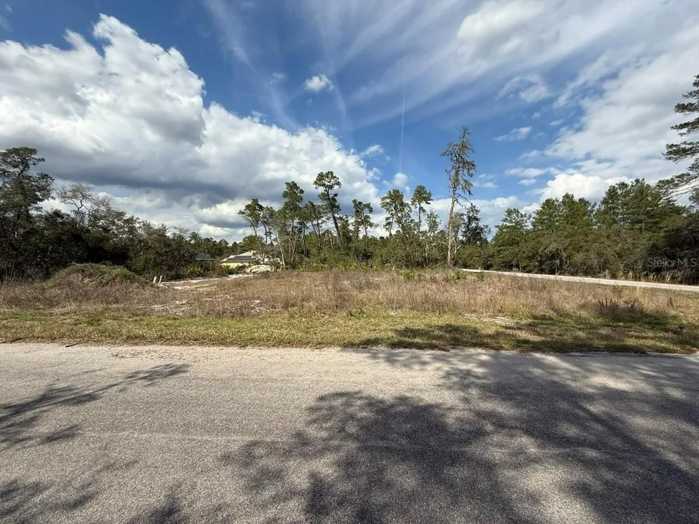 189 FISHER COURT Ocklawaha, FL 32179