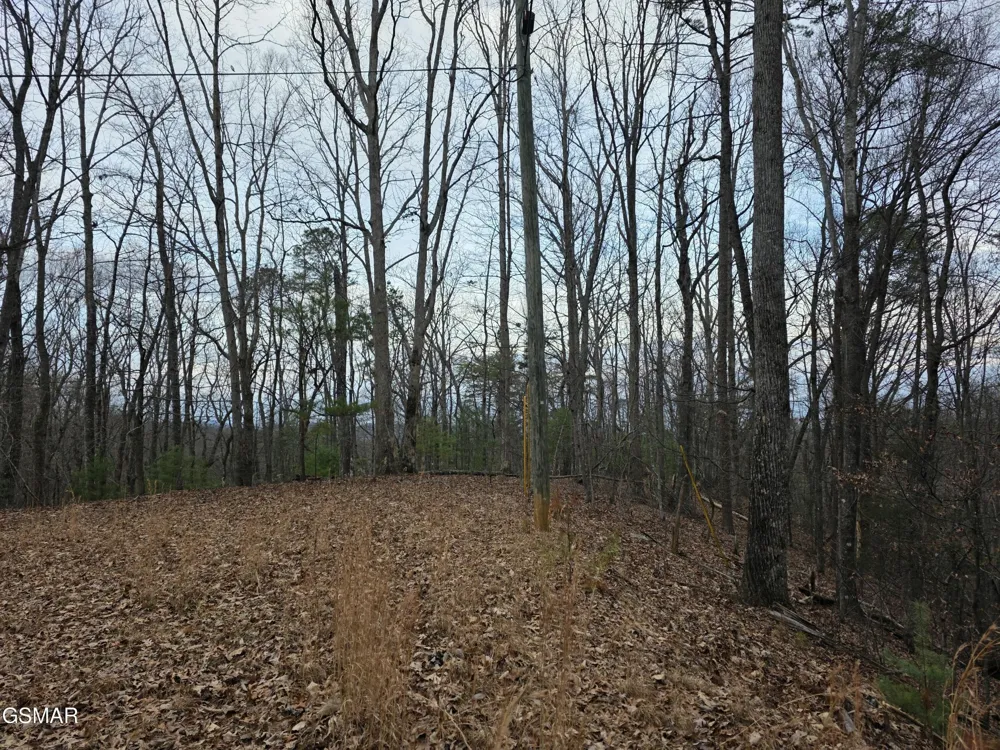 0 Deer Ridge Lane Sevierville, TN 37876