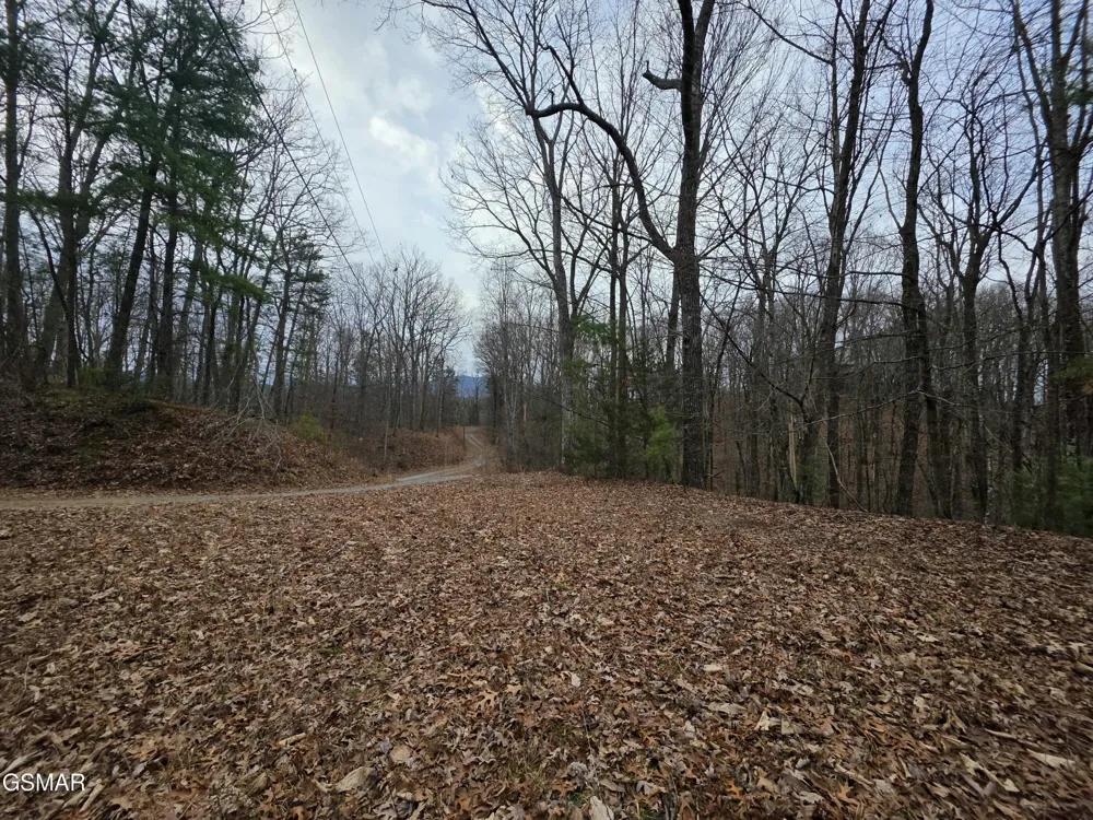 0 Deer Ridge Lane Sevierville, TN 37876