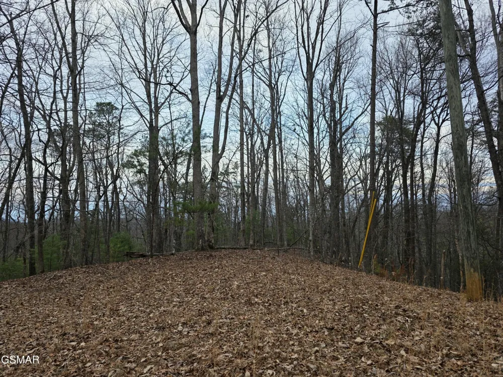 0 Deer Ridge Lane Sevierville, TN 37876