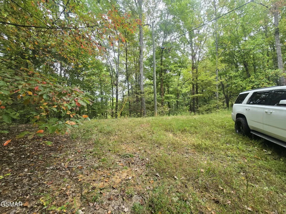 0 Deer Ridge Lane Sevierville, TN 37876