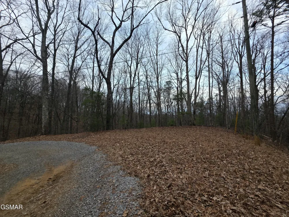 0 Deer Ridge Lane Sevierville, TN 37876
