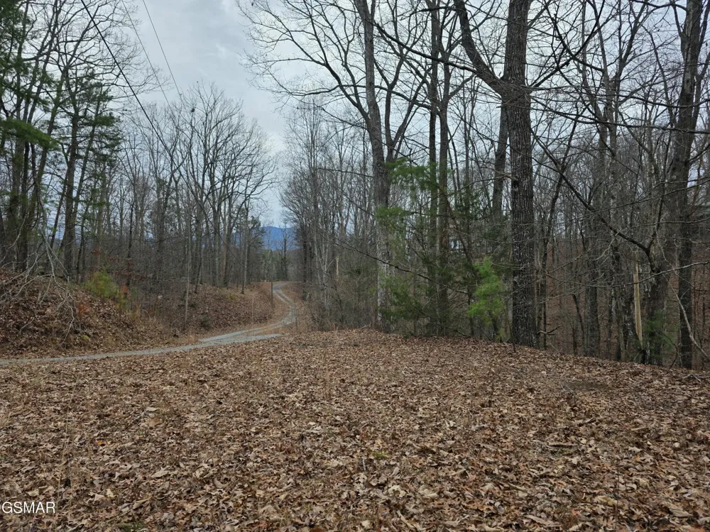 0 Deer Ridge Lane Sevierville, TN 37876
